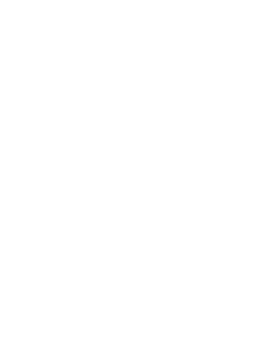 Foilfan